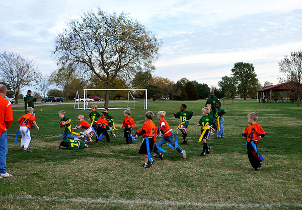 Proposition 1 could produce more youth sports fields, economic growth